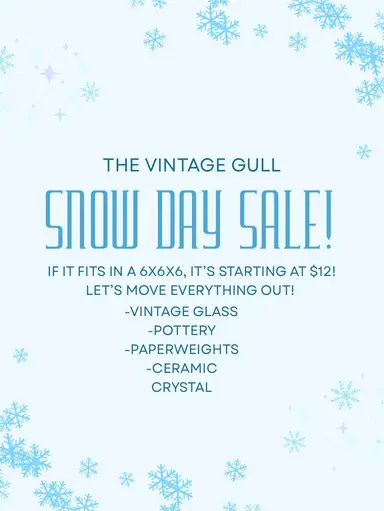 Snow Day Sale!