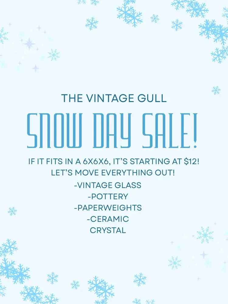 Snow Day Sale!