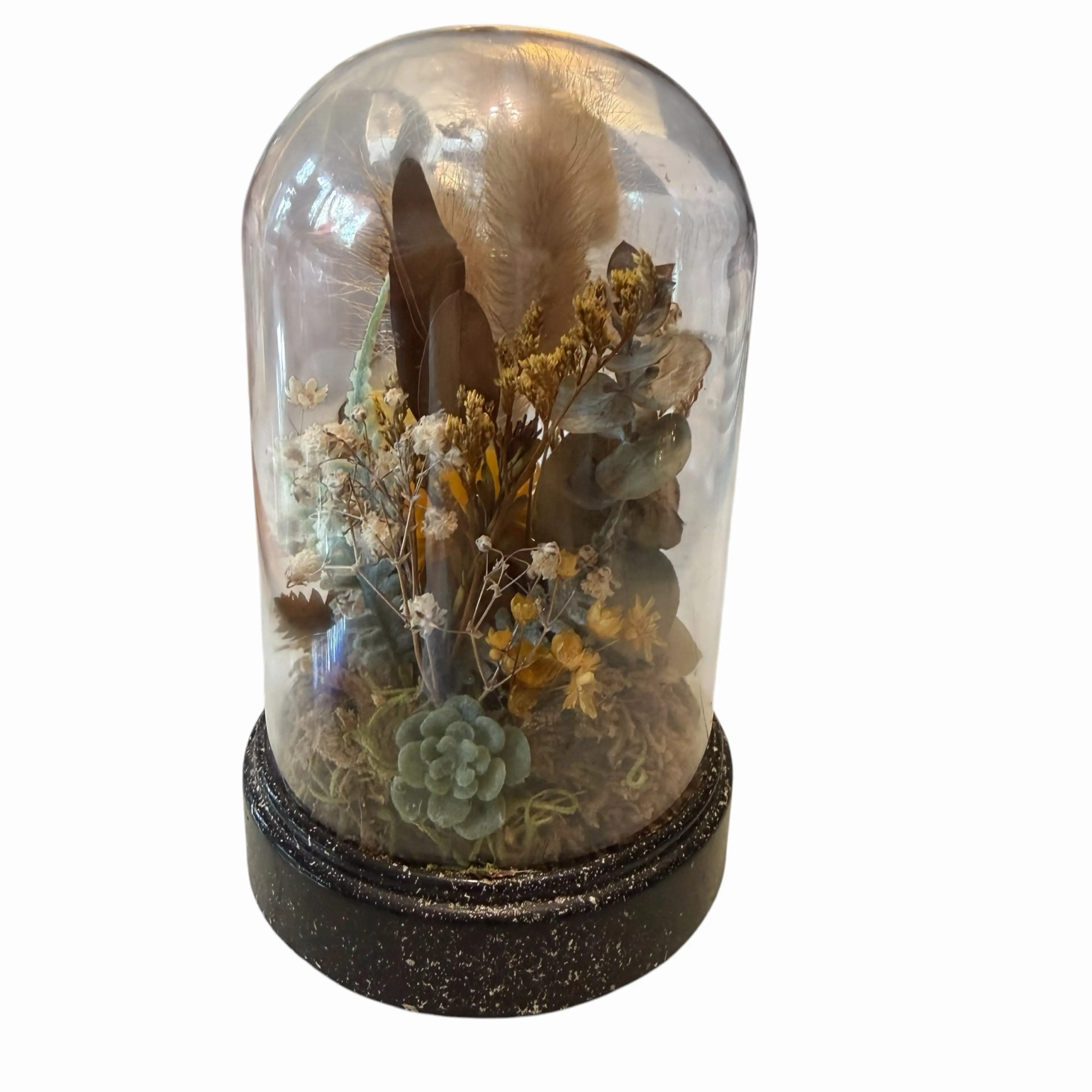 Image 3 of 6