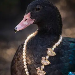 Carved Jasper Duck Necklace – Long 30” Statement Piece