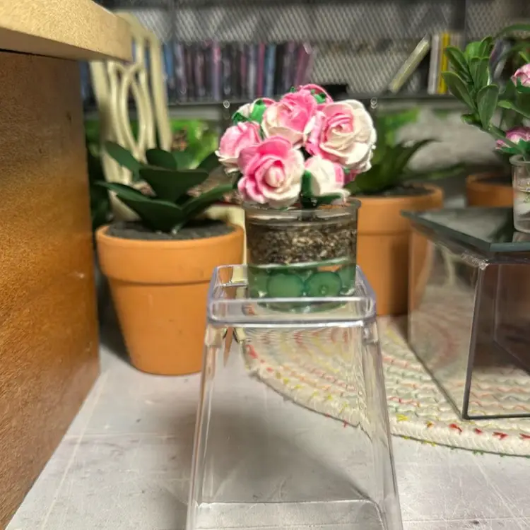 Two Toned Pink and WHite Roses 