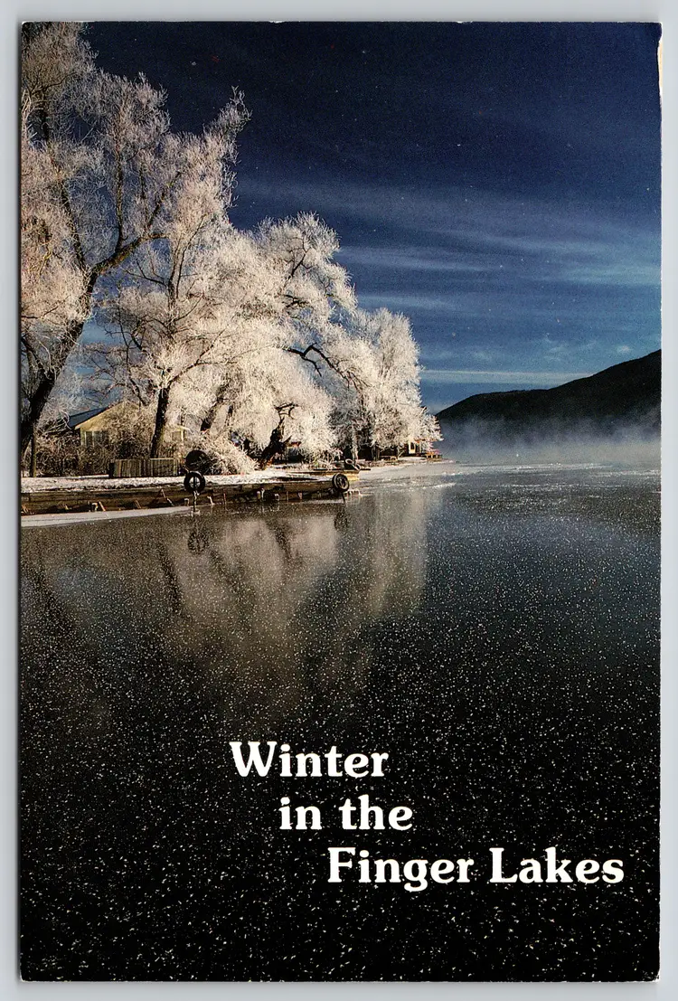 Postcard Winter in the Finger Lakes Night Stars Reflected in Frozen Lake Snowy Scene - 12894