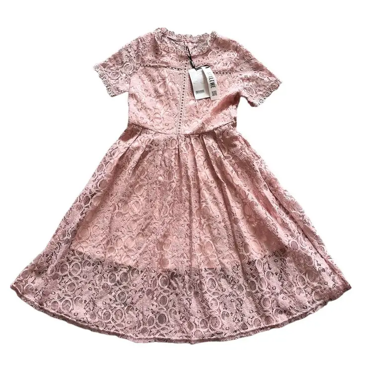 NEW StyleWe Athena PINK LACE DRESS Crochet Collar Womens SZ 0 / SM Fit Flare NWT