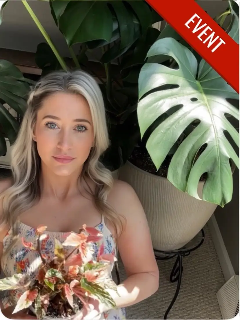 Livestream thumbnail