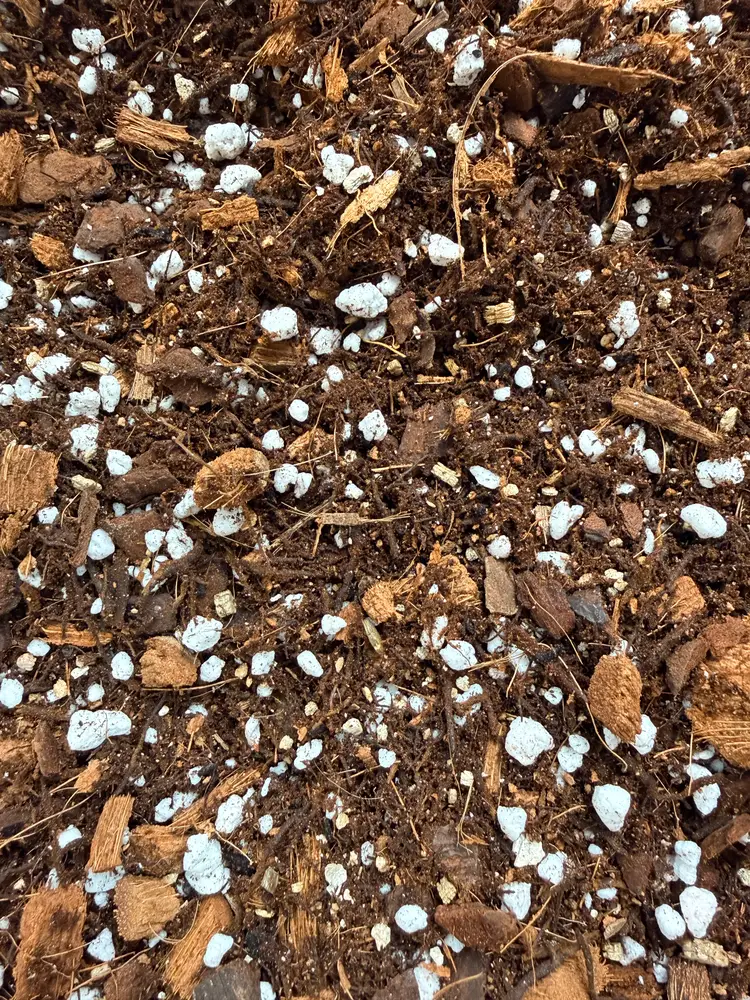 Planty Mix Low Humidity - 16 oz.