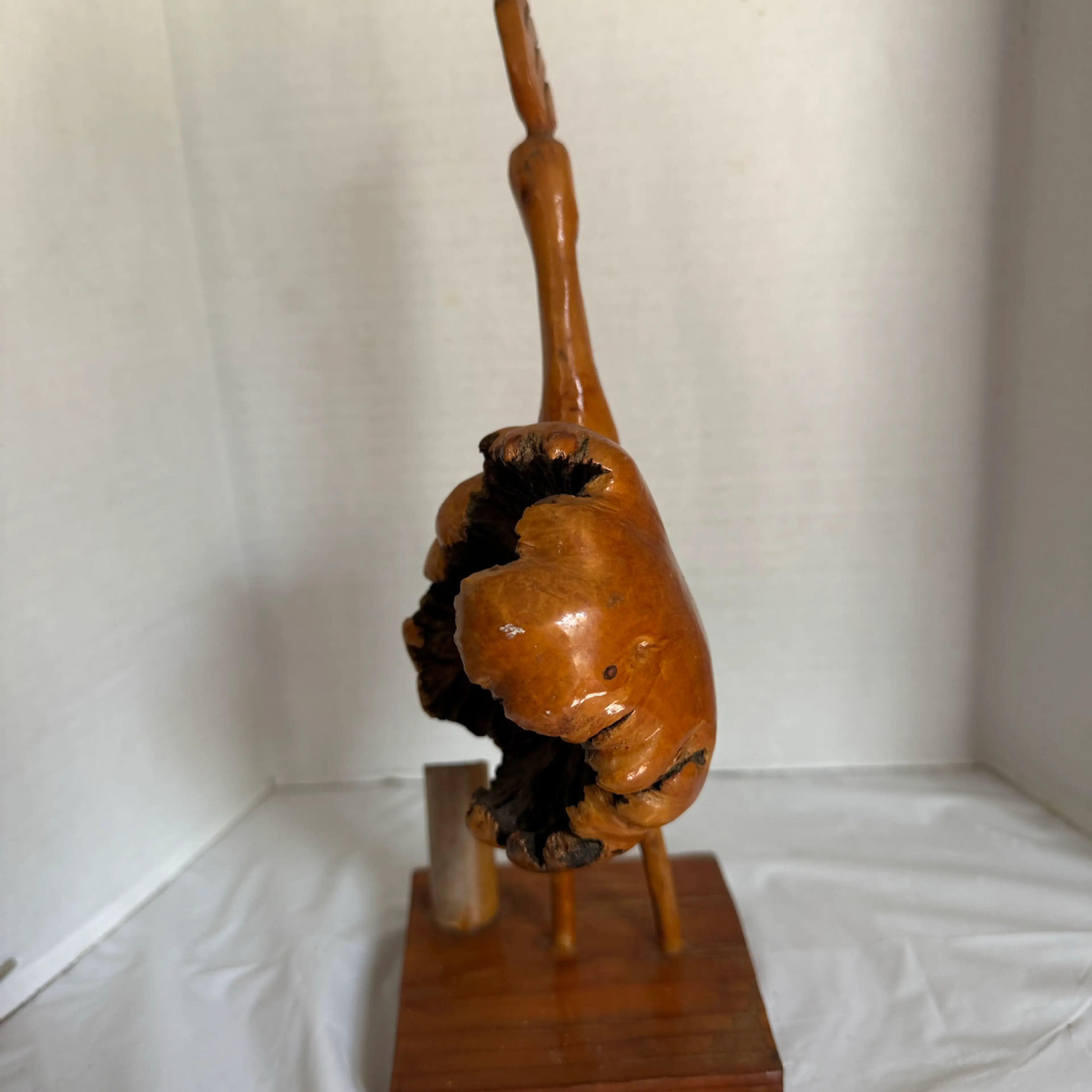 Image 4 of 7