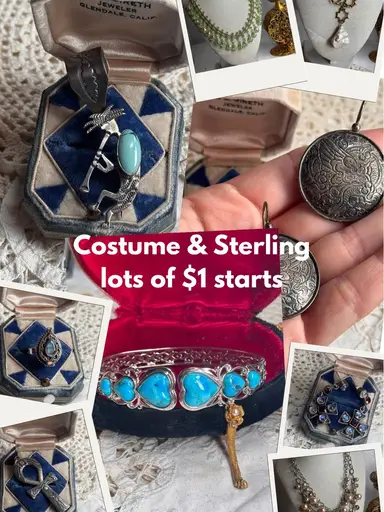 Sterling & Costume Show Before We Leave For Our Trip!