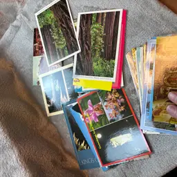 Postcards. Lot Of 80