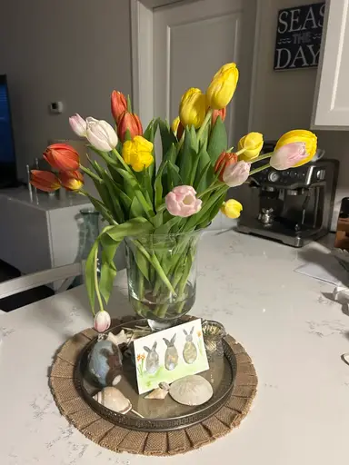 Monday Mornings 🌸🌸