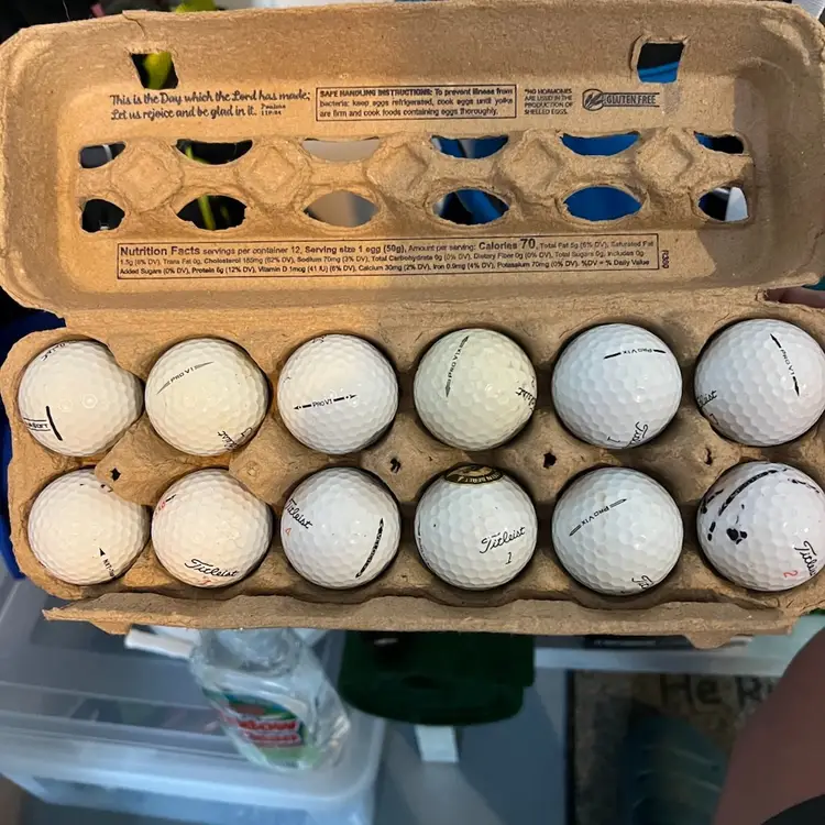 Dozen Used Titleist Golf Balls