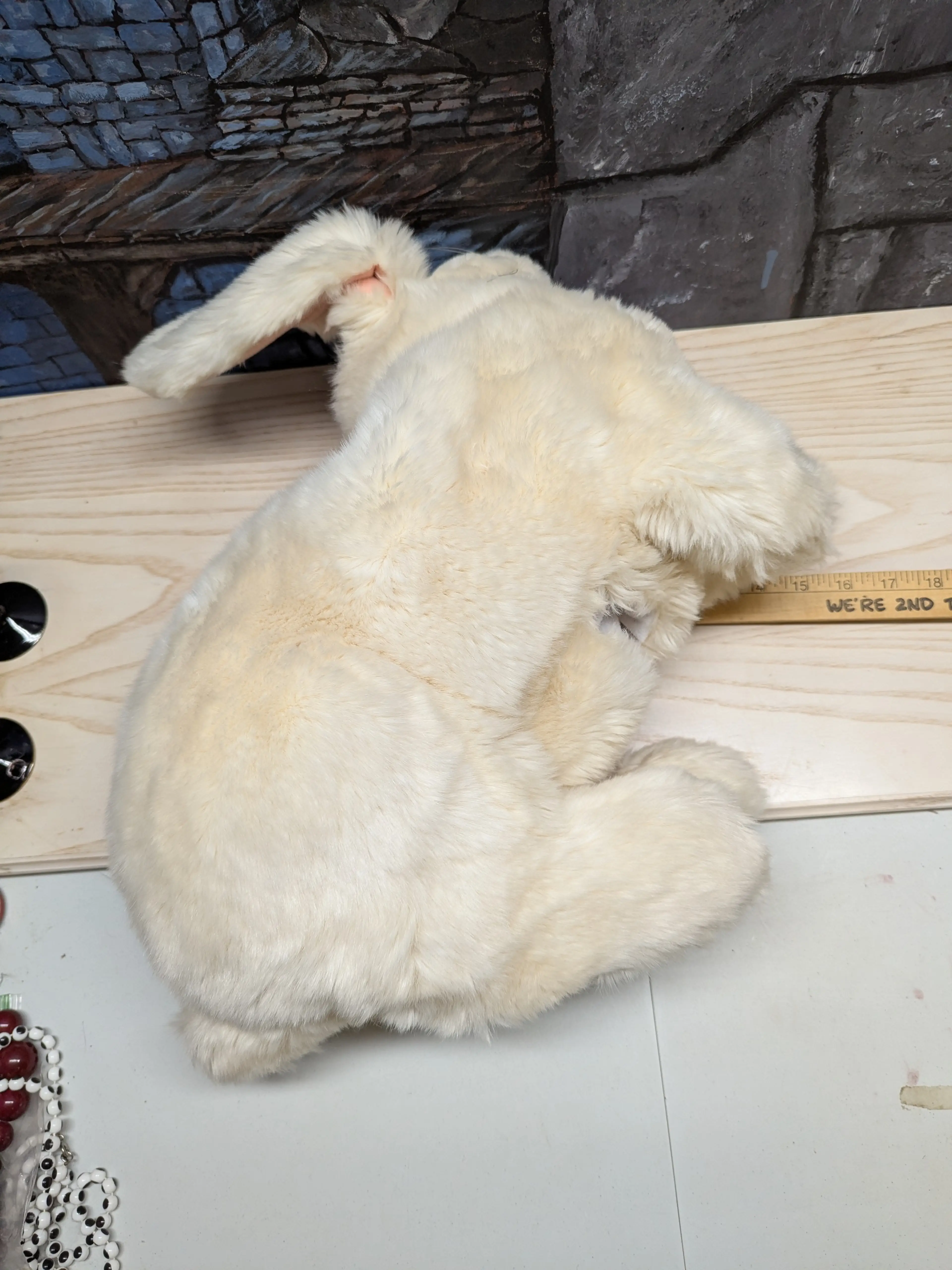 Image 4 of 17