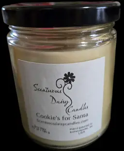 #02 Cookies for Santa Handpoured Soy Candle.