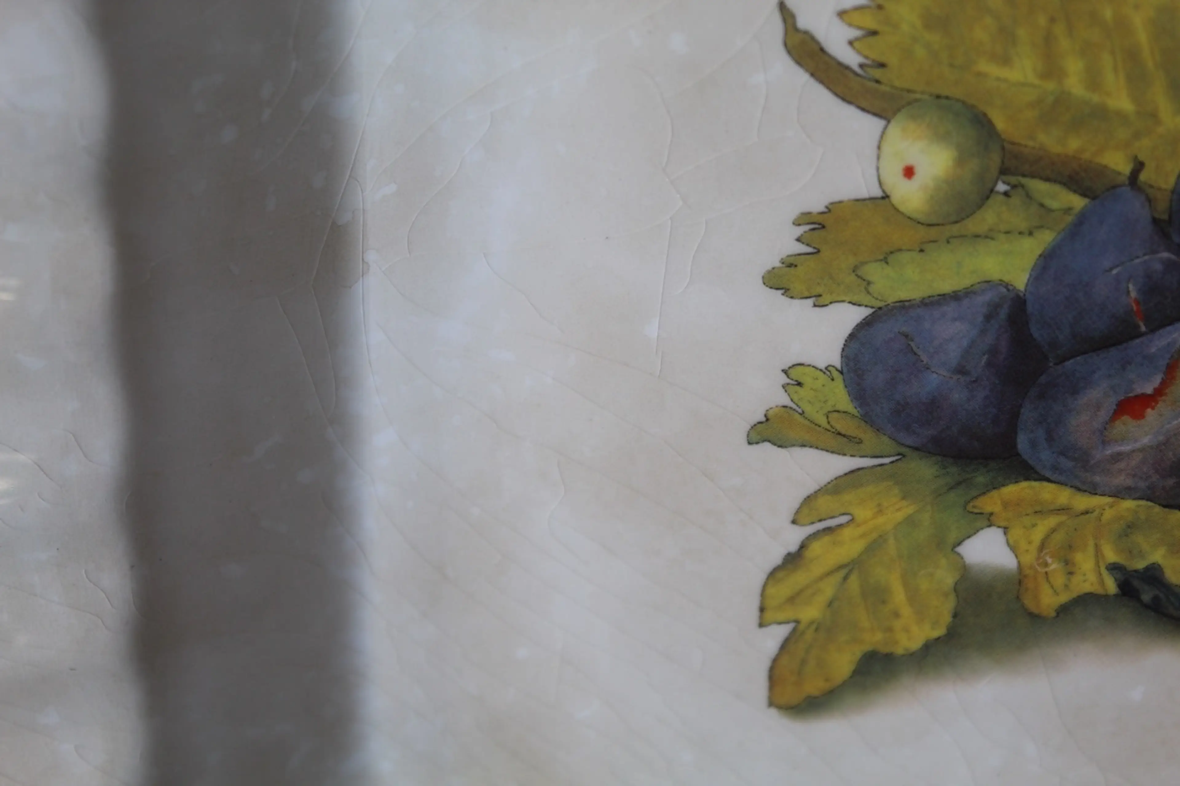 Image 3 of 11