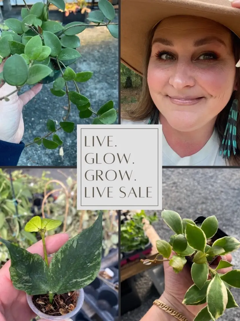 Livestream thumbnail