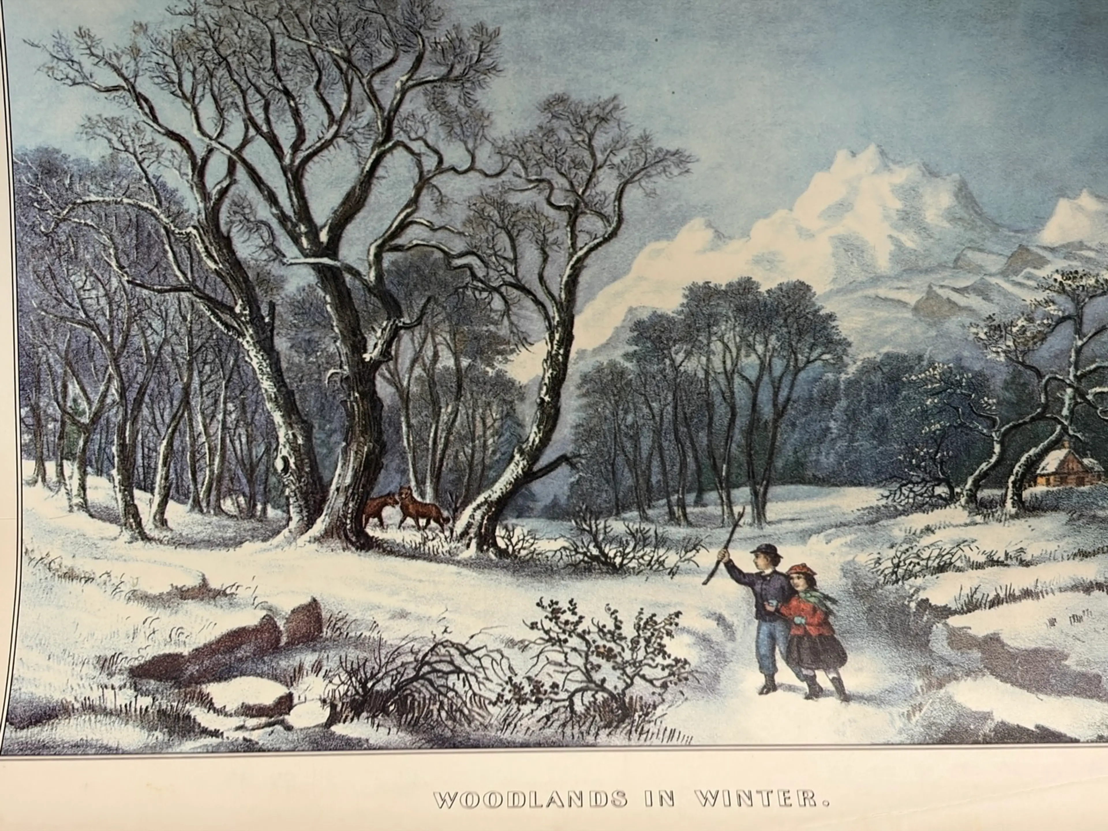 Image 4 of 12
