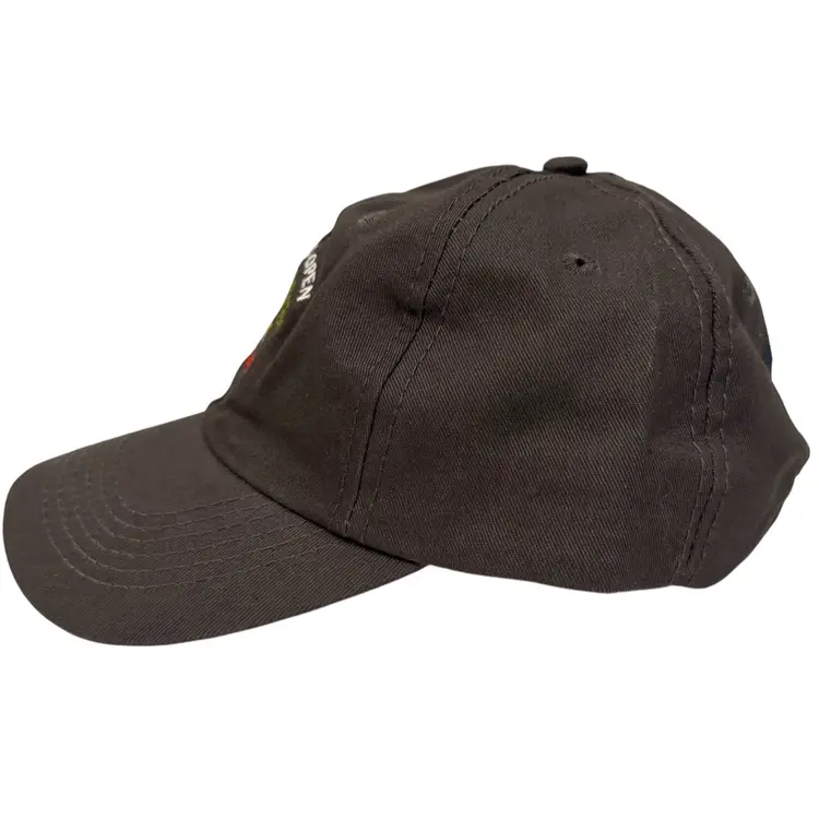 121st U.S. Open Torrey Pines Gray USGA Member Only Adjustable Golf  Hat