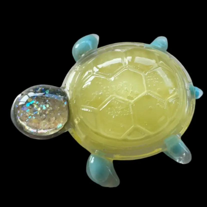Sunny Skies "Treasure Turtles"