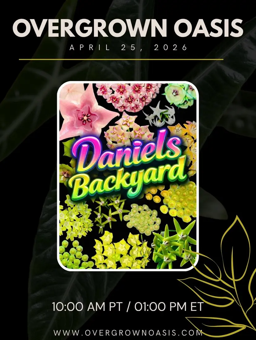 Livestream thumbnail