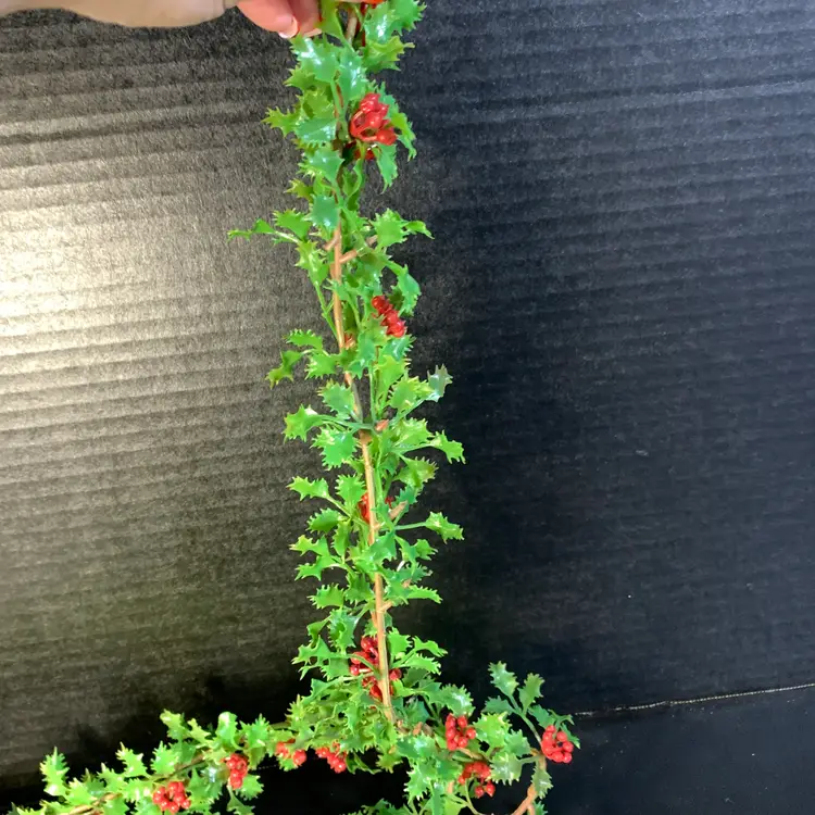 Vintage Plastic Christmas Greenery