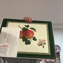 Pimpernel Set If 4 William Hooker Fruit Placemat 15.5 X 11.5”