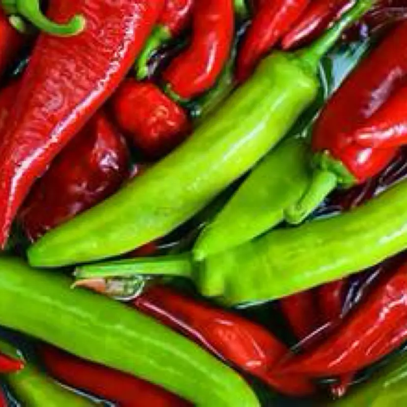Red Hot Chili Pepper vegetable seeds