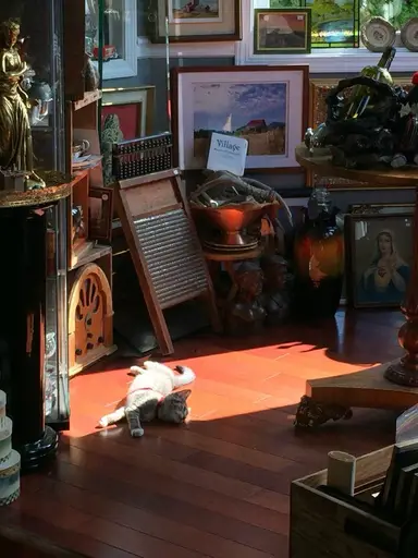 Tuesday Night Recent Thrift Haul Unboxing!