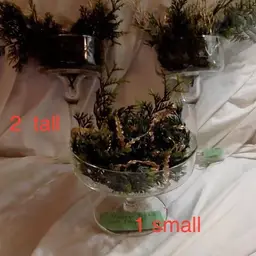 Vintage Etched Glass Compotes, Queen Glass Co. set of 3.  $22