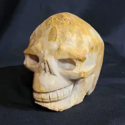 3.5" Tall Carved Fossil Stone Skull