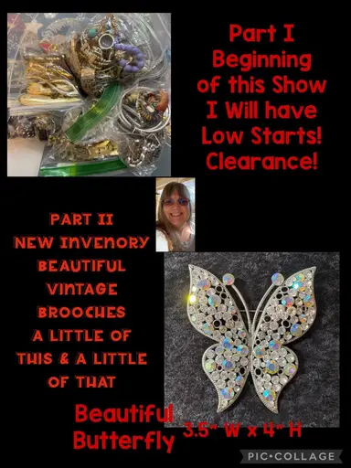 Variety Brooches & BIN Items Offers On - Timeless Treasures by Gina