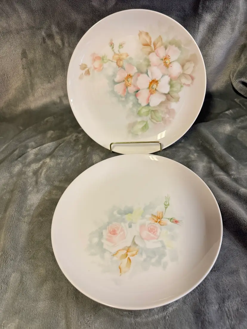 Vintage Set/2 Hand Painted Pink Rose Plates Signed ESR Bavarian China Porcelain