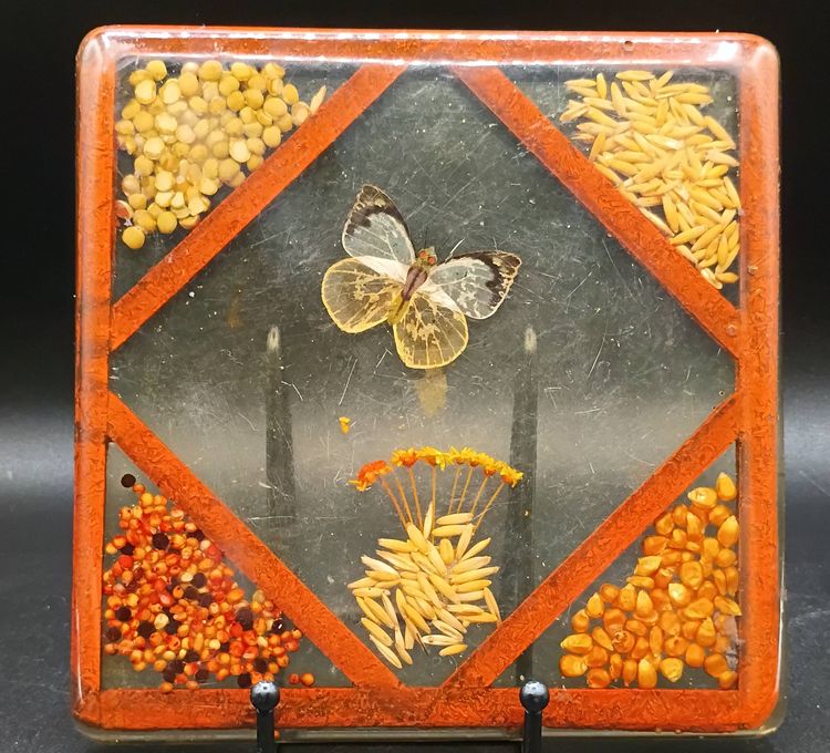VTG Retro MCM Resin Acrylic Trivet Square 7 1/2 Decor Seeds Grains Butterfly