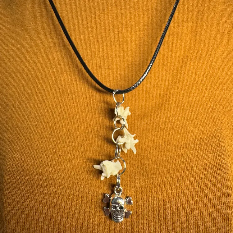 Rattlesnake Vertebrae Necklace with skull