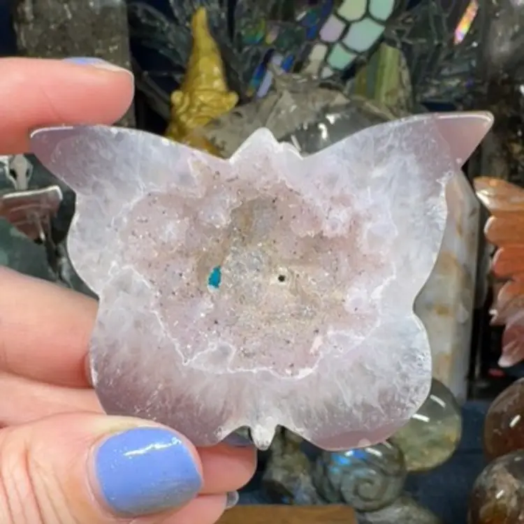 Jelly Agate Butterfly 12A