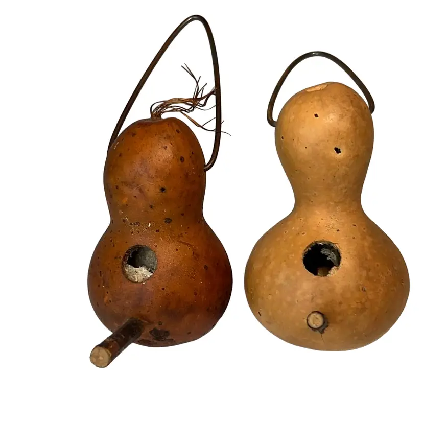 Pair Of Pear 😂 Shaped Gourd Birdhouses