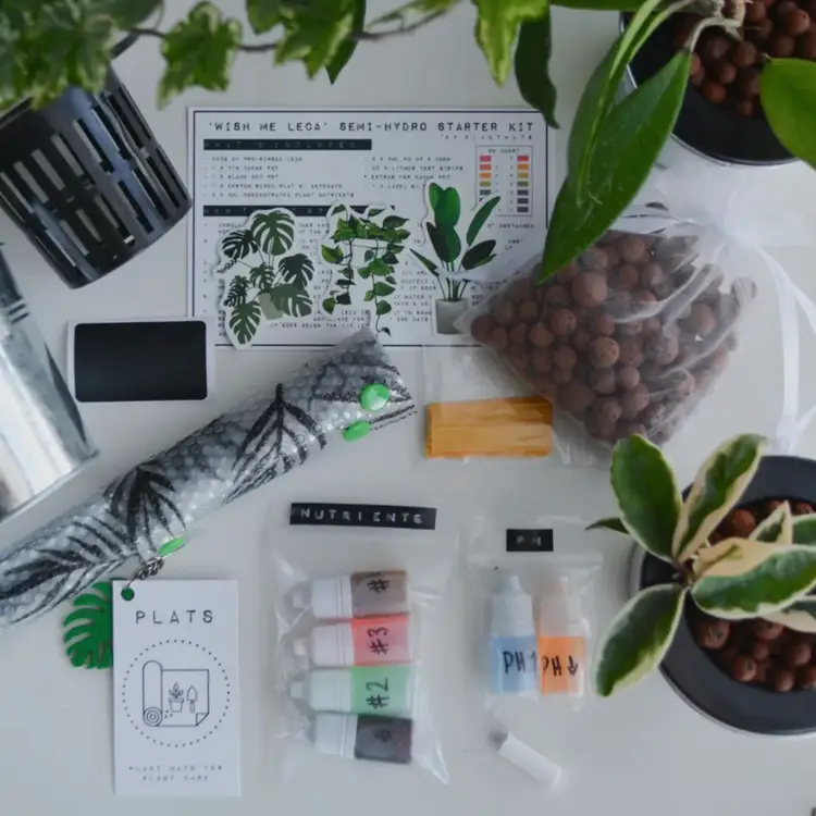 Wish Me 'leca' Starter Kit