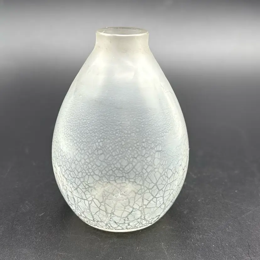 Clear Glass “Sonoor” Spring Flower Vase Crackle Design Andreis Dirk Copier 1935 Netherlands