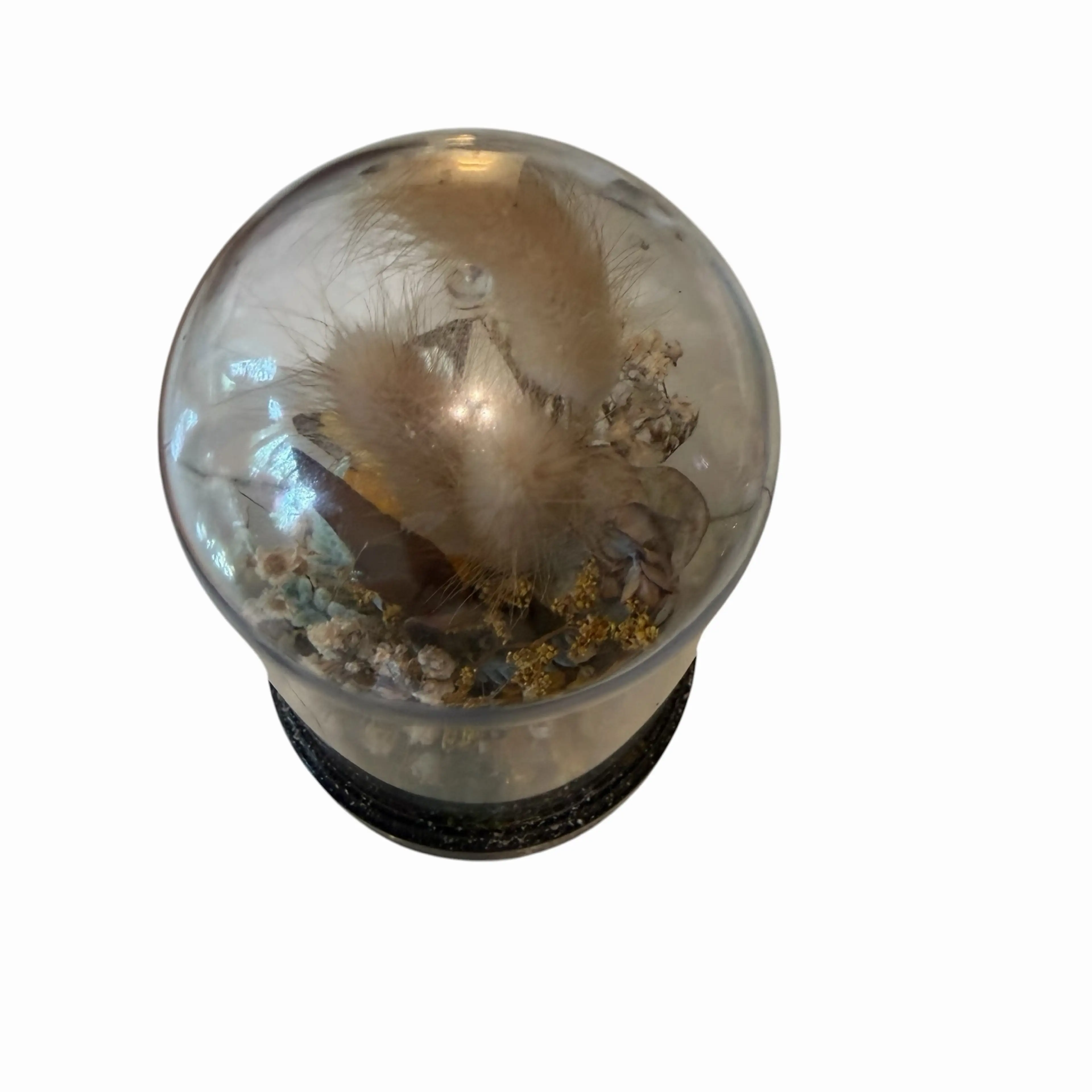 Image 4 of 6