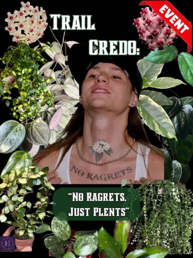 NO RAGRETS, JUST PLENTS