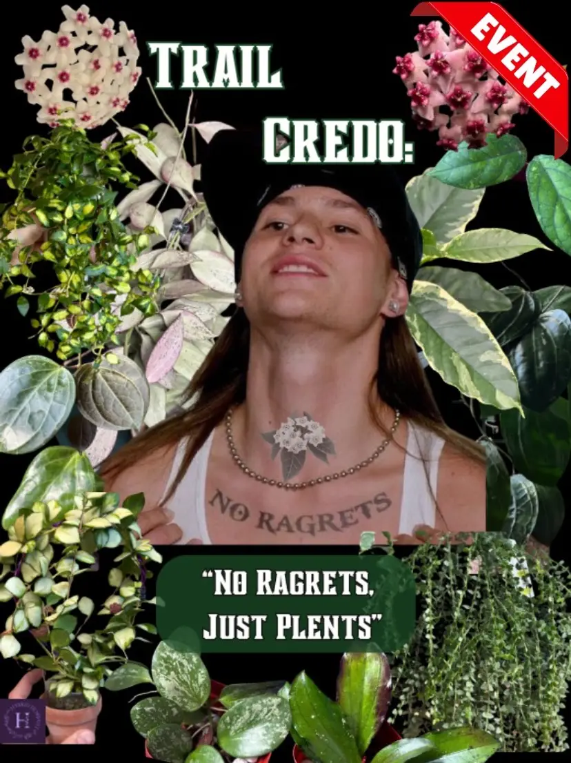 Livestream thumbnail