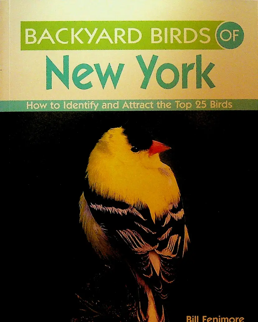 Backyard Birds of New York by Bill Fenimore