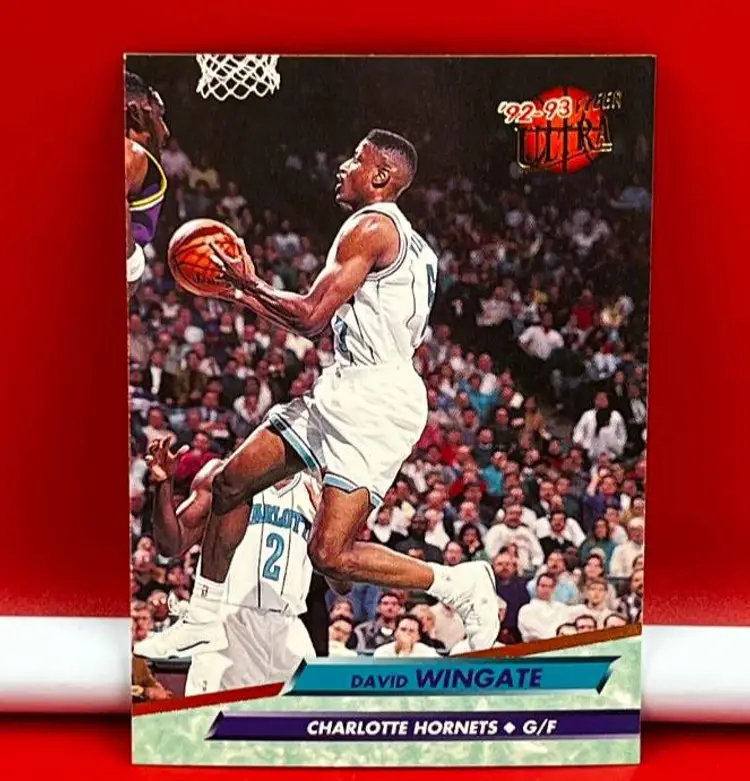 1993 Fleer Ultra Collector Basketball Trading Card Hornets David Wingate #235