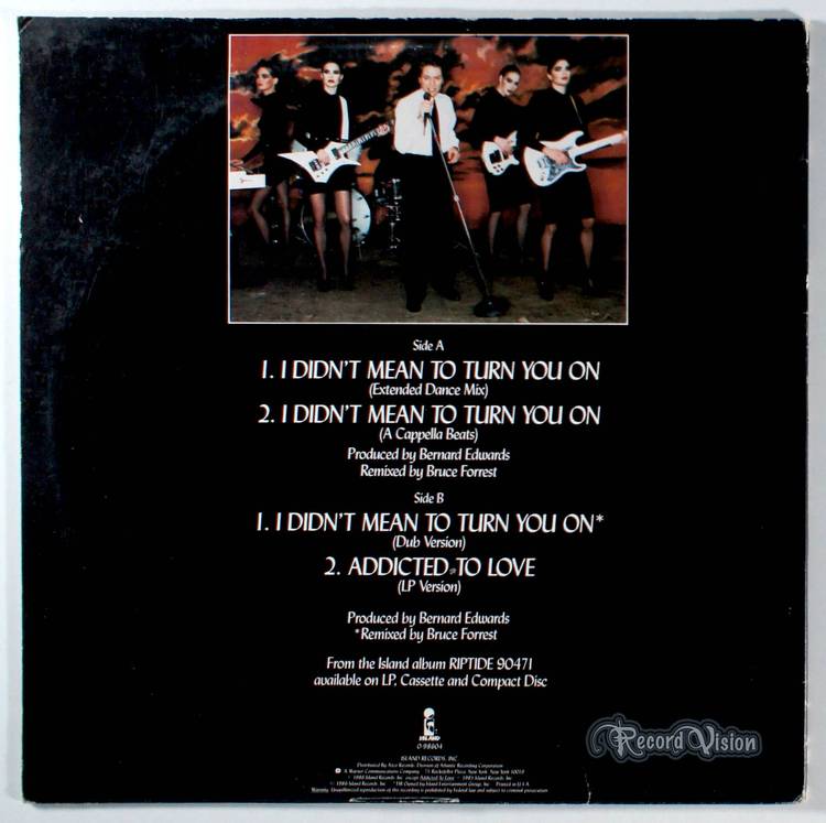 Robert Palmer - I Didn't Mean to Turn You On (1986) Vinyl 12" Single • Riptide