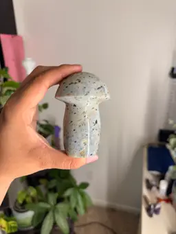 Ocean Jasper Mushroom