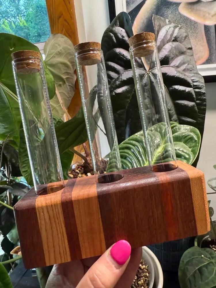 0048 Wooden Laminated Propagation Station