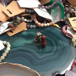 #59 - Sunday with the Peacock!!