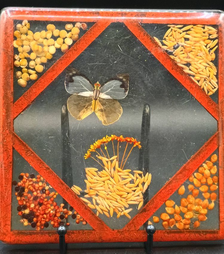 VTG Retro MCM Resin Acrylic Trivet Square 7 1/2 Decor Seeds Grains Butterfly