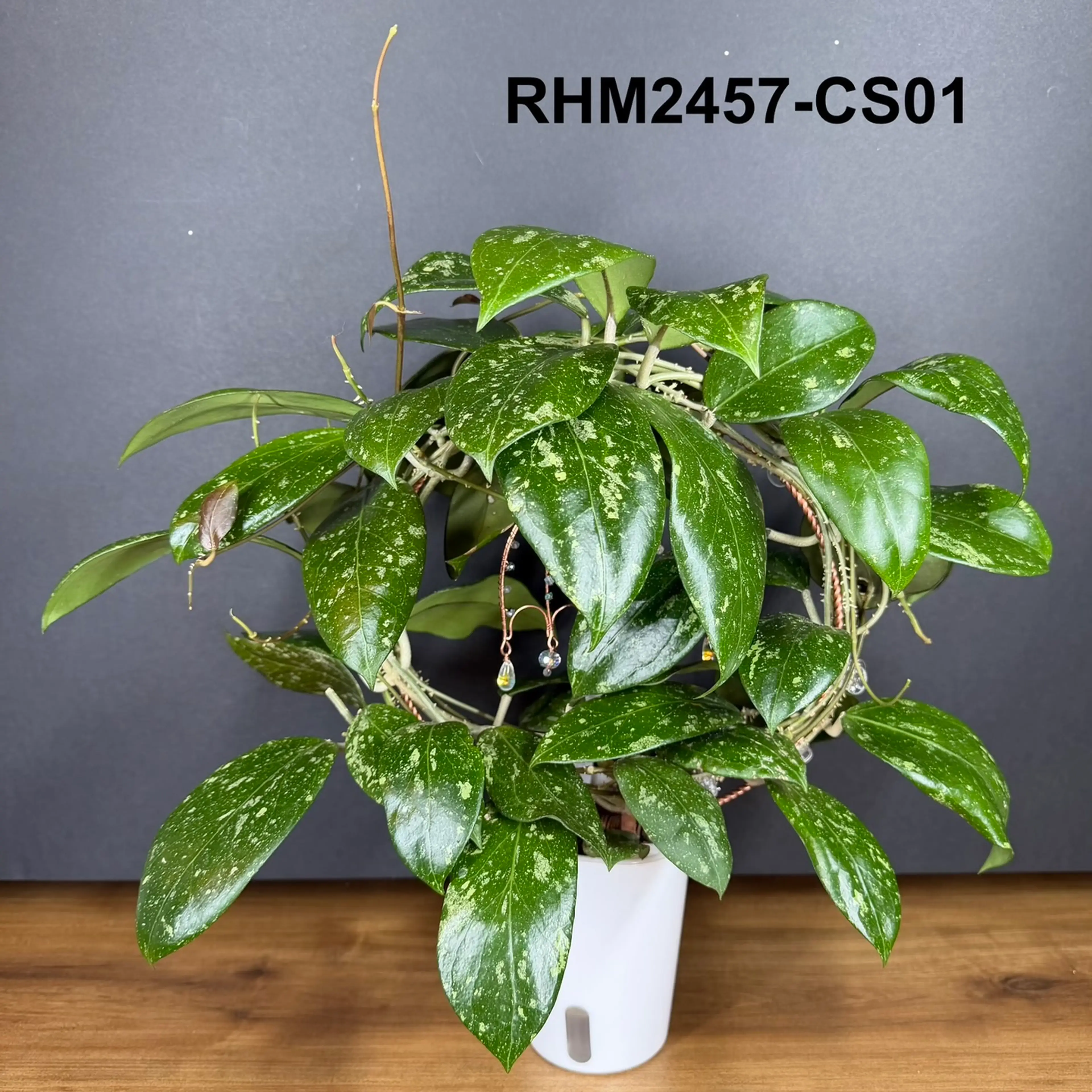 Image 1 of 29