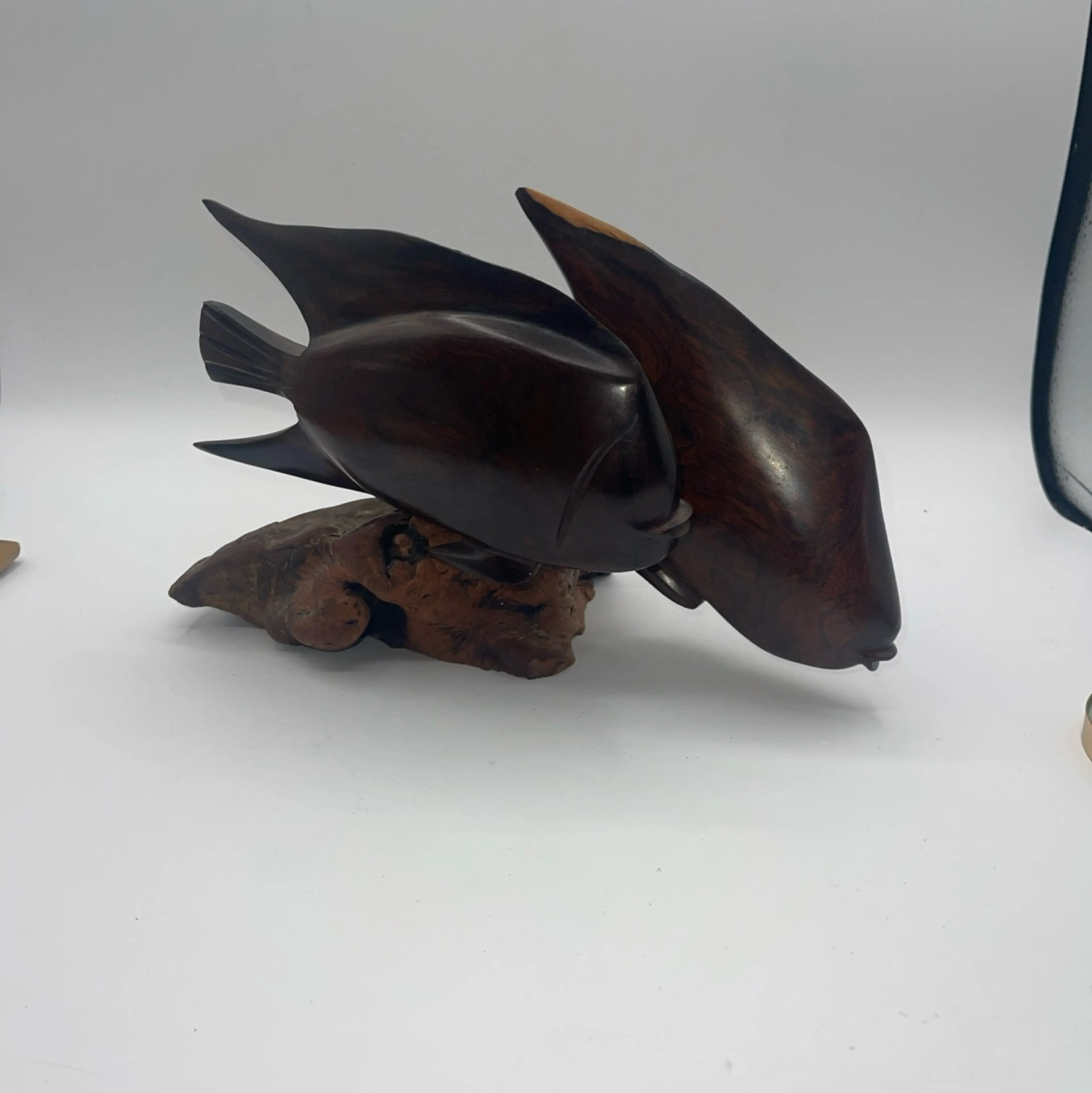 Image 1 of 14