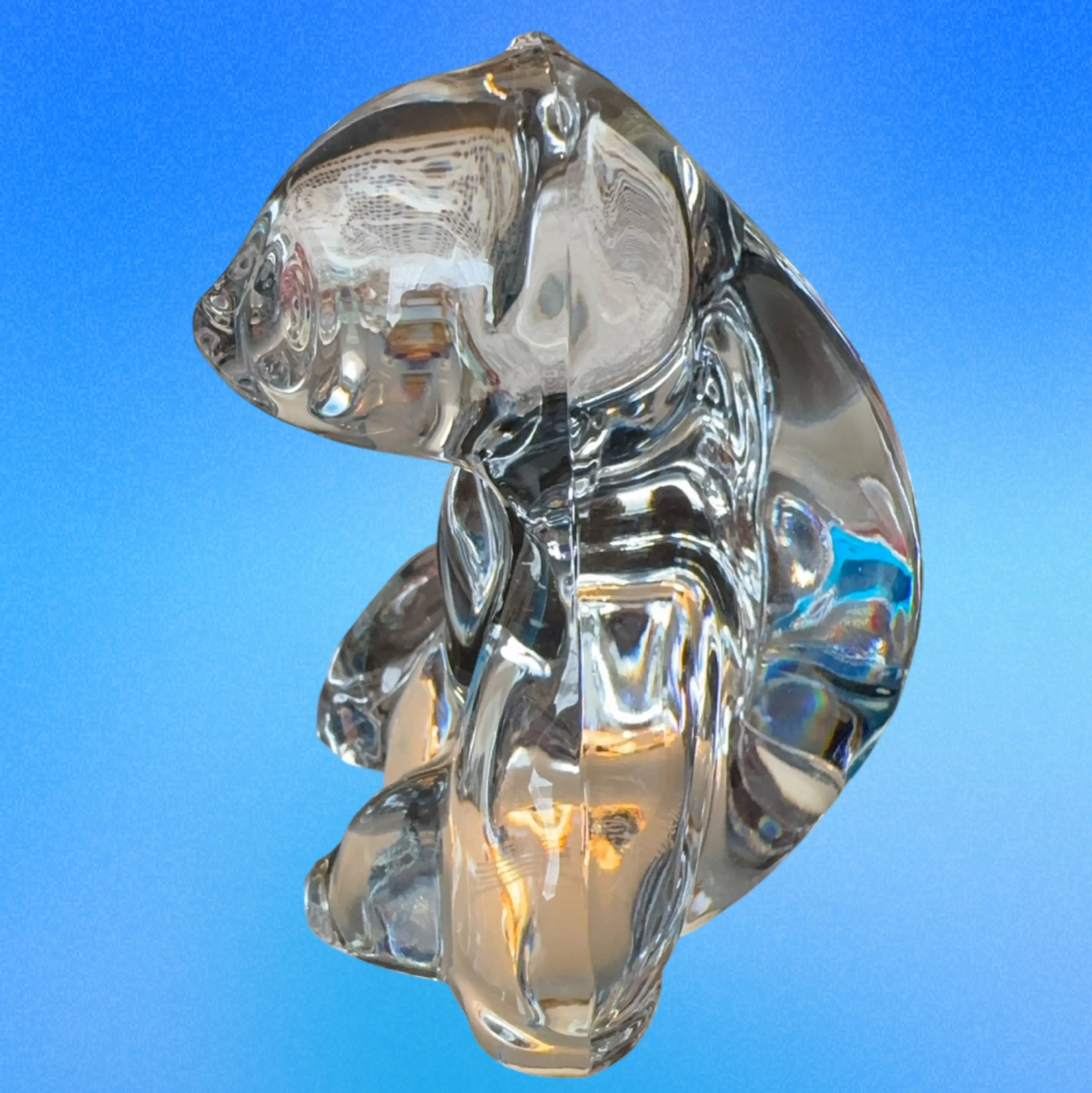 Image 4 of 5