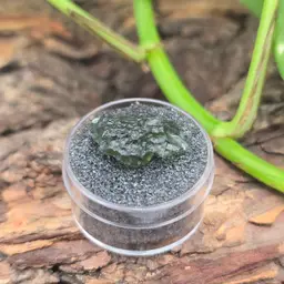 Moldavite from Czech Republic ~ Mineral Specimen ~ Meteorite/Tektite